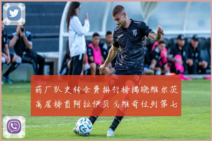 药厂队史转会费排行榜揭晓维尔茨高居榜首阿拉伊贝戈维奇位列第七